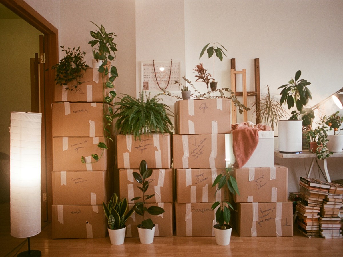 Moving day: When Fate and Freedom&nbsp;Collide