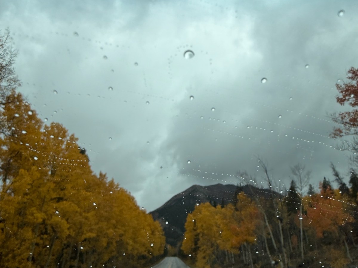 Raining intuition: learning to trust&nbsp;yourself