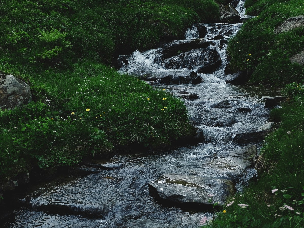 Consistency Chronicles: Addressing emotions In the&nbsp;Moment