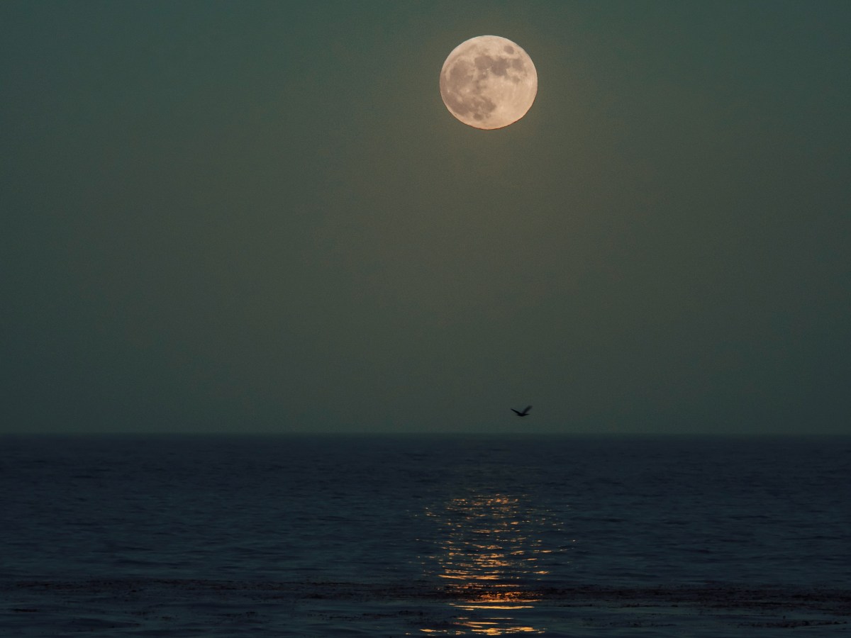 The Art of Feeling&nbsp;Deeply