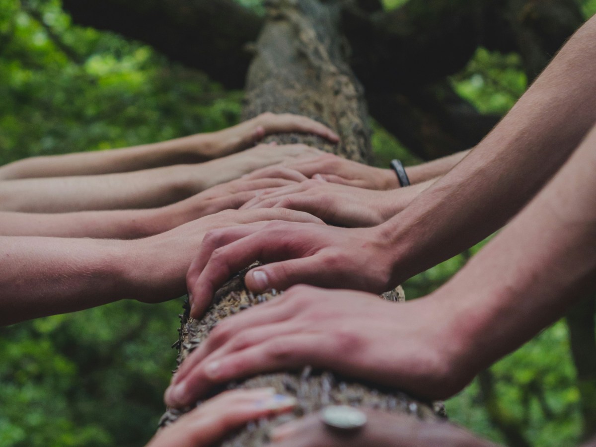 The Unexpected Gift of&nbsp;Community