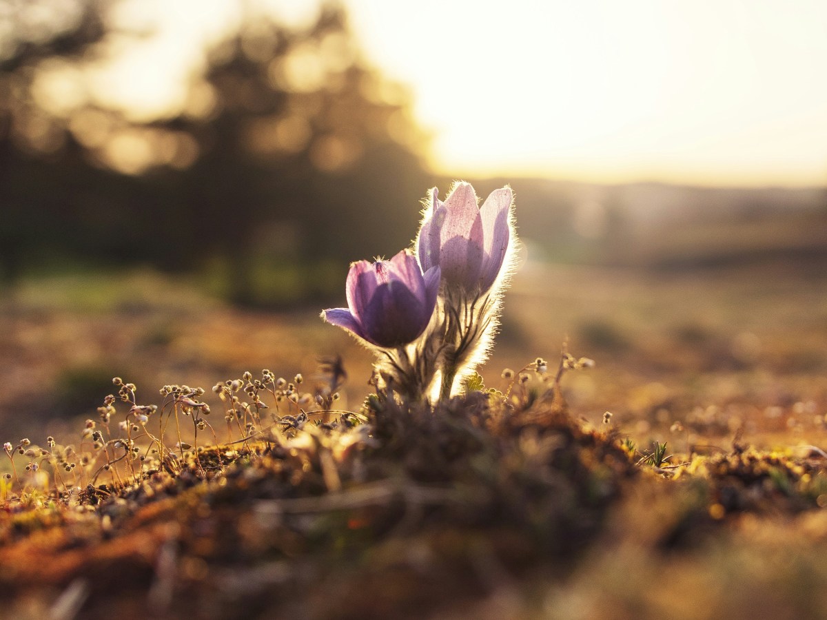 Growing Into Your Life and&nbsp;Career