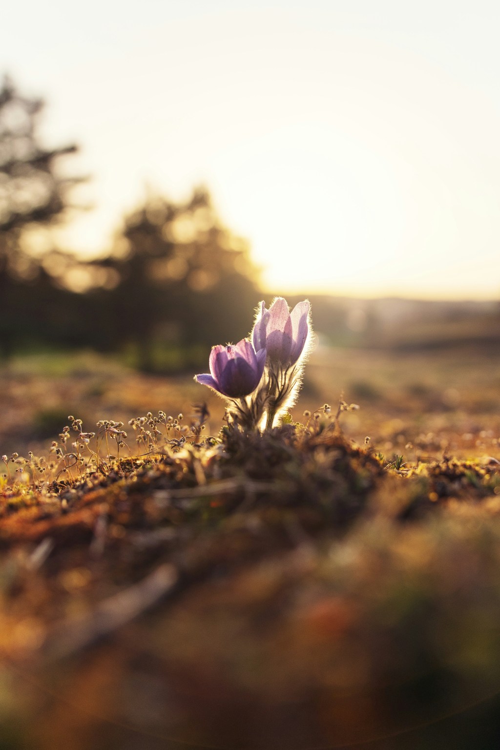 Growing Into Your Life and&nbsp;Career